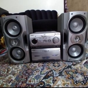 ضبط سوتی دوتیکه